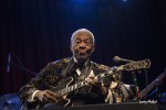 File Photo: The legendary BB King, in performance in Southern Indiana, 2013. Used with Permission. (Photo Credit: Larry Philpot)