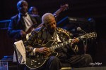 File Photo: The legendary BB King, in performance in Southern Indiana, 2013. Used with Permission. (Photo Credit: Larry Philpot)