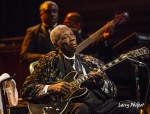 File Photo: The legendary BB King, in performance in Southern Indiana, 2013. Used with Permission. (Photo Credit: Larry Philpot)