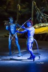 File Photo: Cirque du Soleil -- Toruk, perform in Indianapolis Indiana in 2016. Used with permission. (Photo Credit: Onstage Media Group/ Larry Philpot)