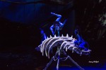 File Photo: Cirque du Soleil -- Toruk, perform in Indianapolis Indiana in 2016. Used with permission. (Photo Credit: Onstage Media Group/ Larry Philpot)